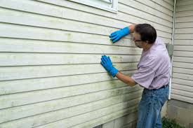 Affordable Siding Repair and Maintenance Services in Boulder, CO